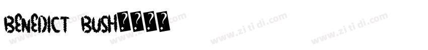benedict bush字体转换